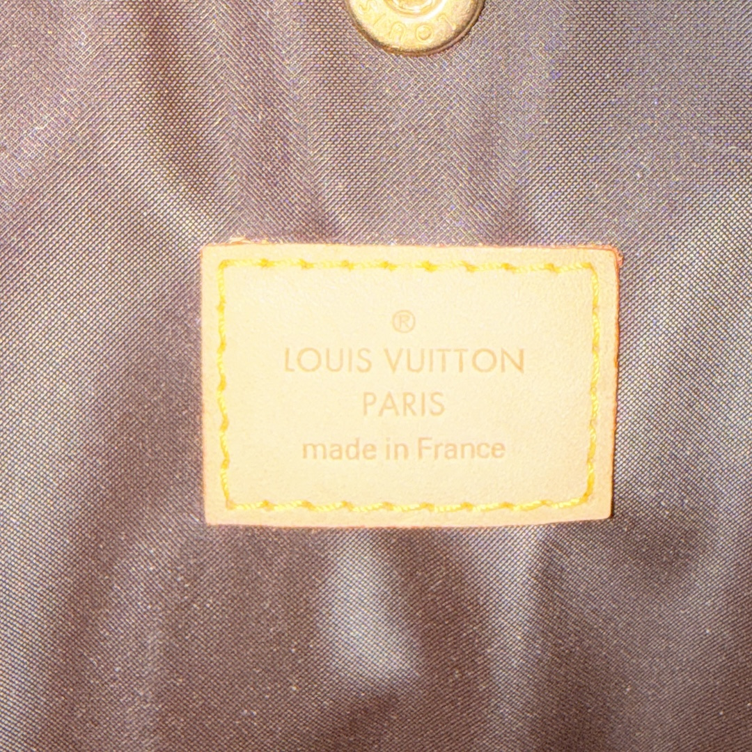 LOUIS VUITTON SAC BAXTER GM HUNDETRAGETASCHE AUS MONOGRAM CANVAS (M42028)