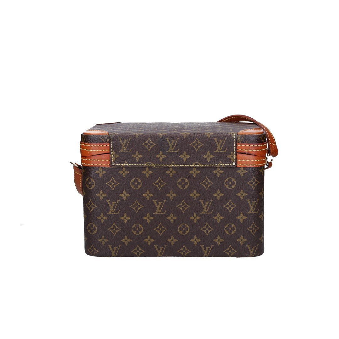 LOUIS VUITTON TRAIN CASE BEAUTY-CASE AUS MONOGRAM CANVAS IN VUITTONITE