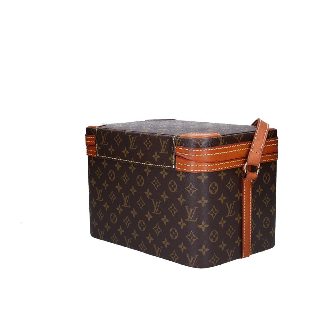 LOUIS VUITTON TRAIN CASE BEAUTY-CASE AUS MONOGRAM CANVAS IN VUITTONITE