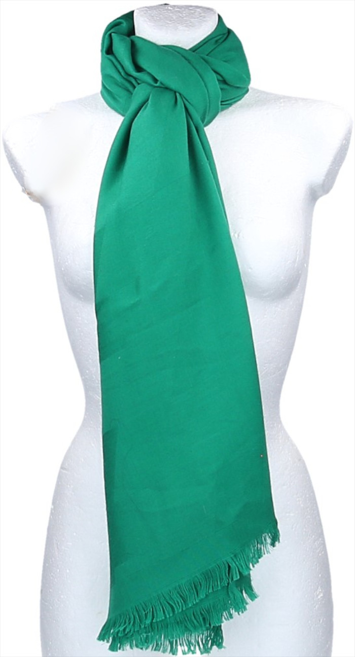 HERMÈS CASHMERE/SILK SCARF 75 x 213 CM STOLE IN GREEN