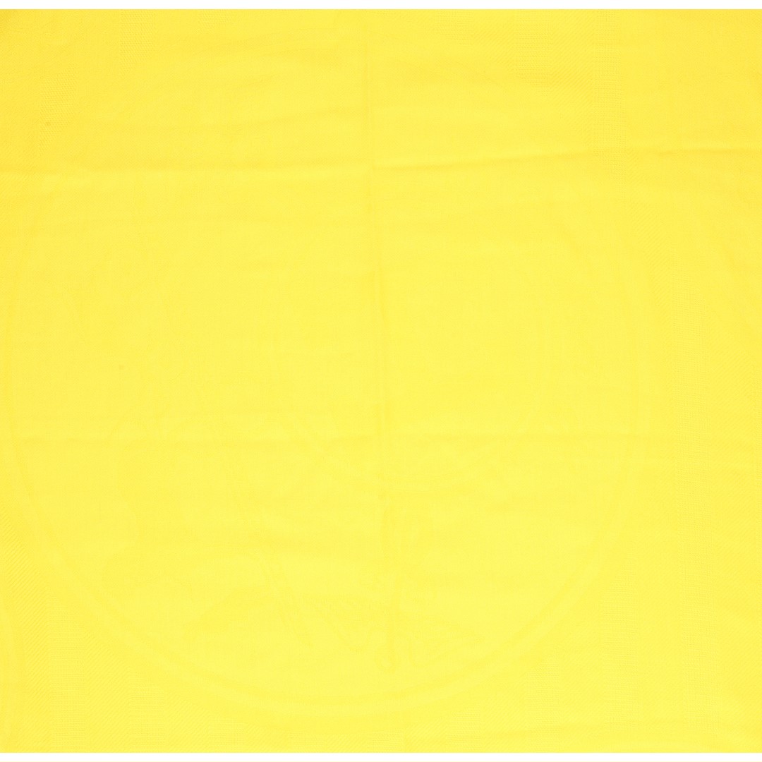 HERMÈS SCARF CASHMERE / SILK STOLE 'NEW LIBRIS' 75 x 213 CM IN VIVID YELLOW