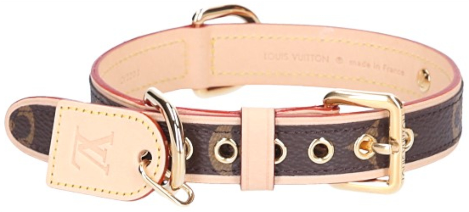 HERMÈS CAT COLLAR MADE OF EELSKIN IN BLUE WITH GOLD-TONED METAL
