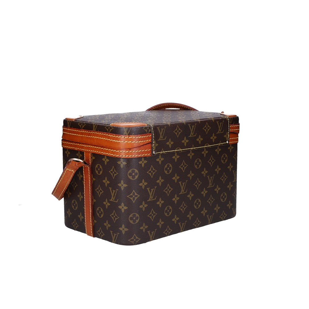 LOUIS VUITTON TRAIN CASE BEAUTY-CASE AUS MONOGRAM CANVAS IN VUITTONITE