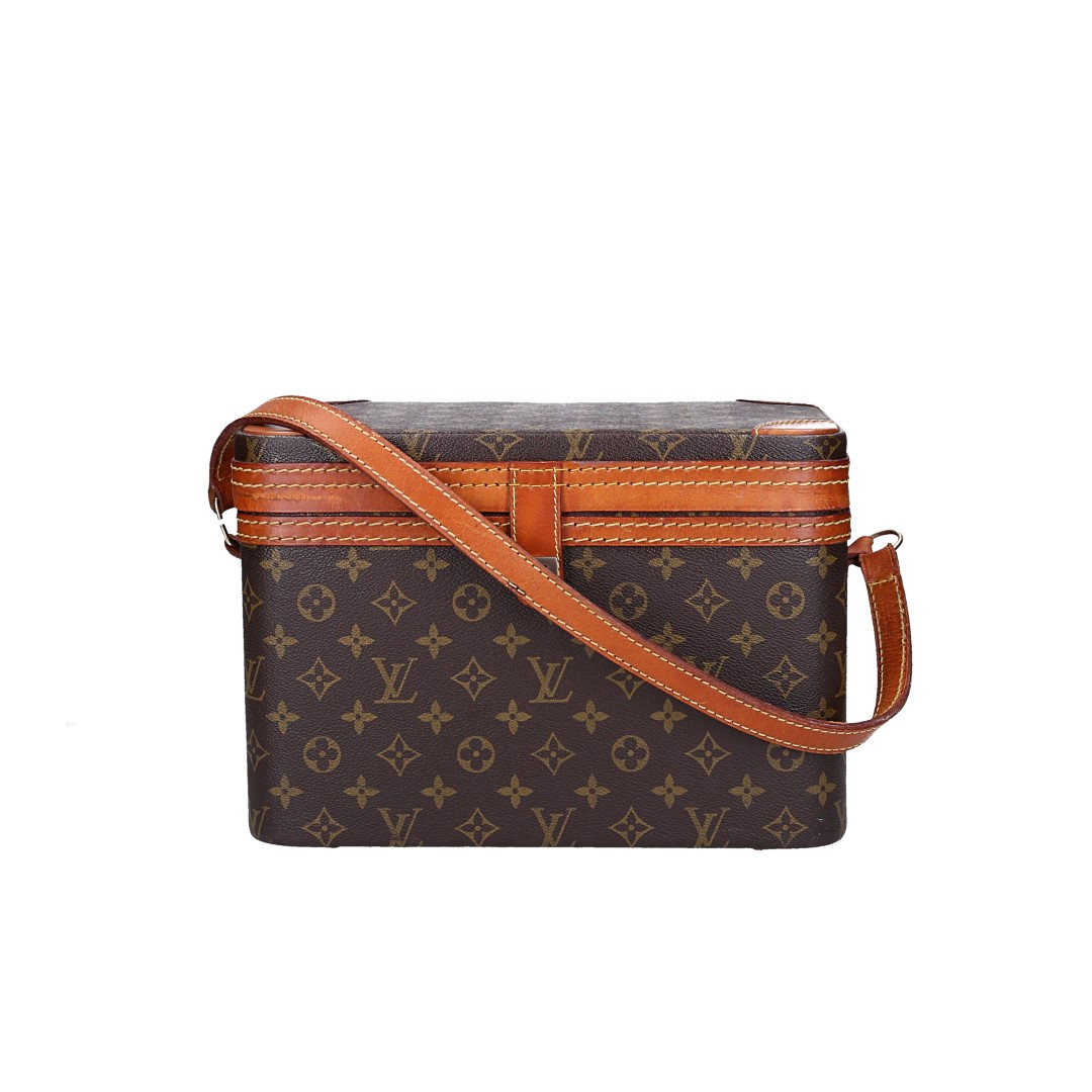 LOUIS VUITTON TRAIN CASE BEAUTY-CASE AUS MONOGRAM CANVAS IN VUITTONITE