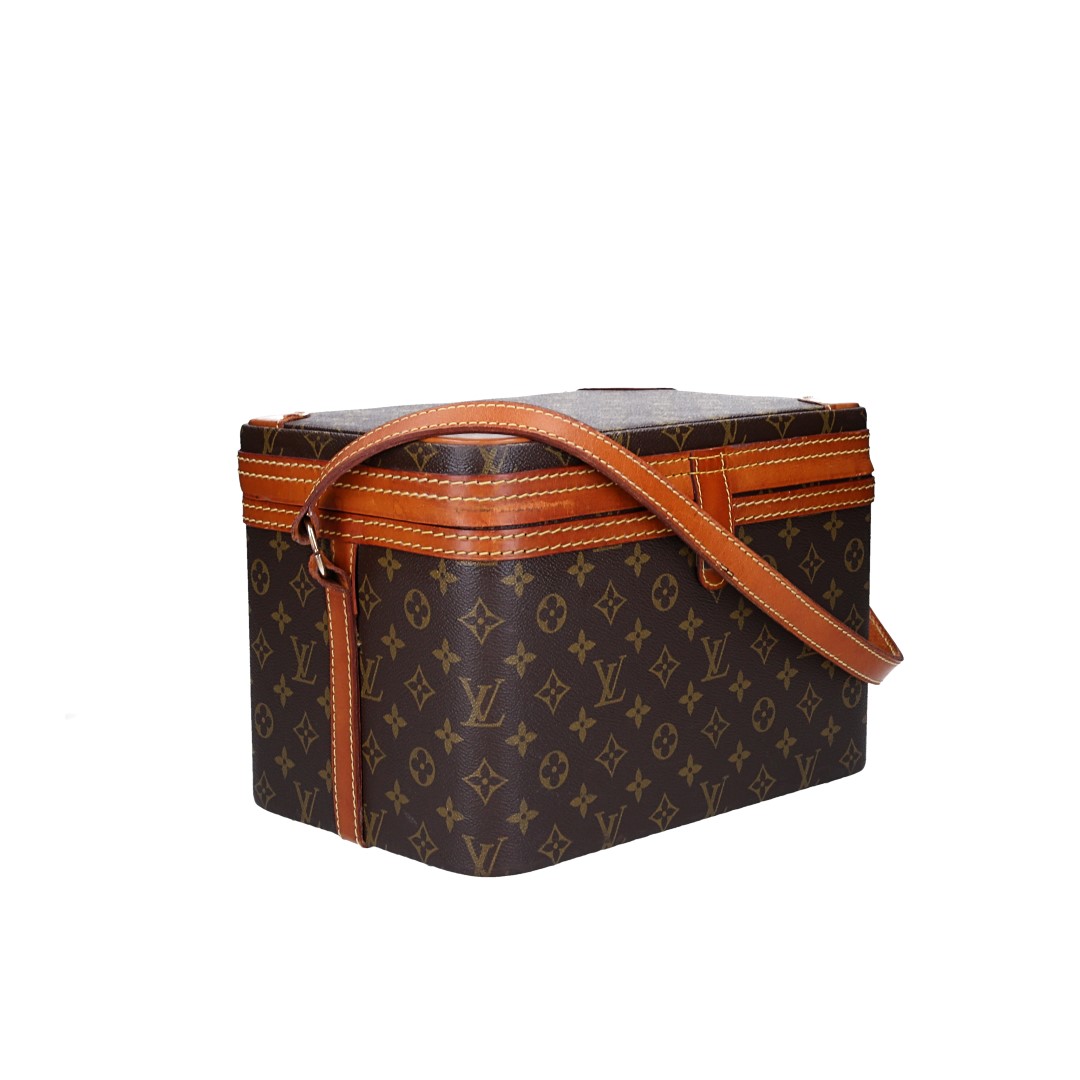 LOUIS VUITTON TRAIN CASE BEAUTY-CASE AUS MONOGRAM CANVAS IN VUITTONITE